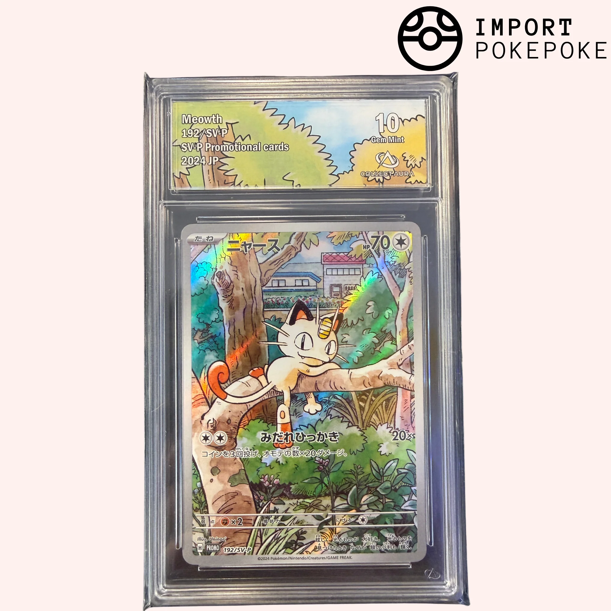 Cartes Gradées SV-P Promotionnel cards - SV-P