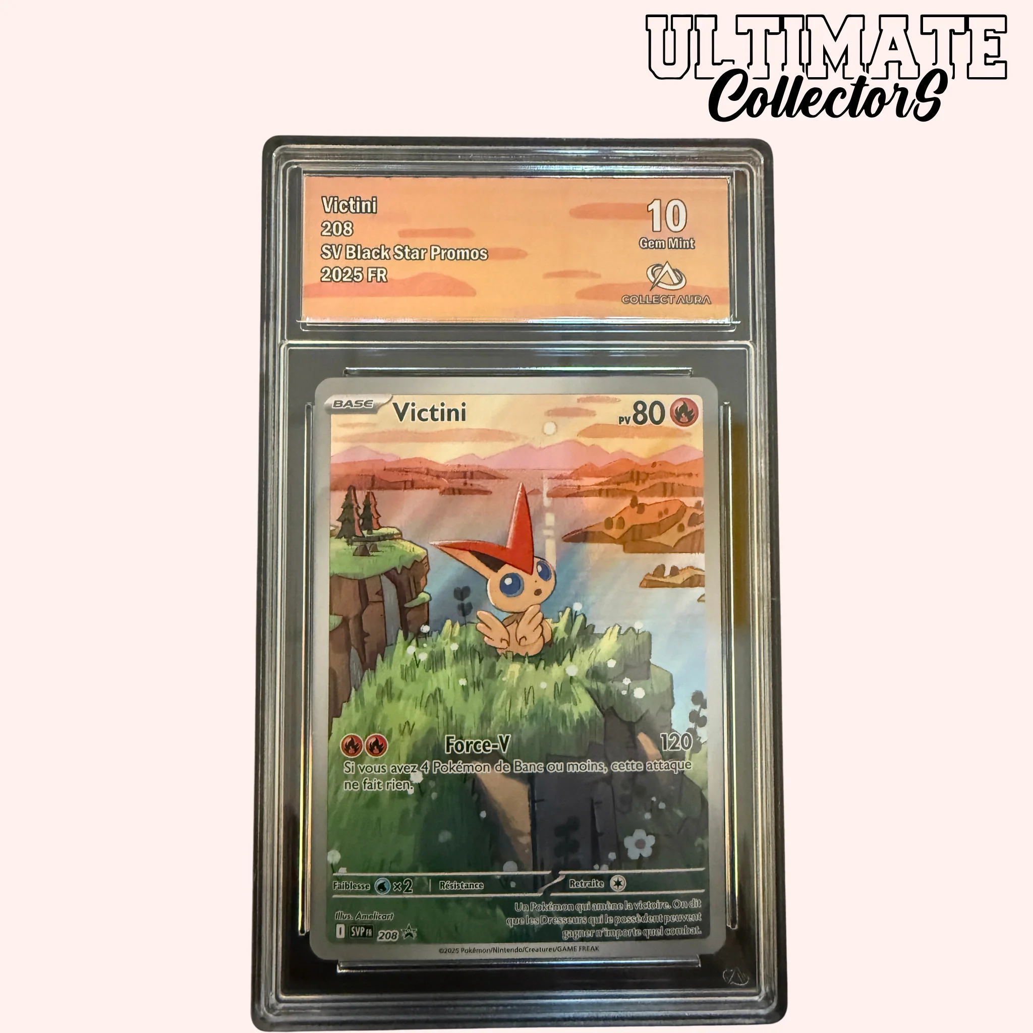 Miniature 1